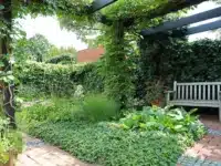 Gartenbank, Pergola
