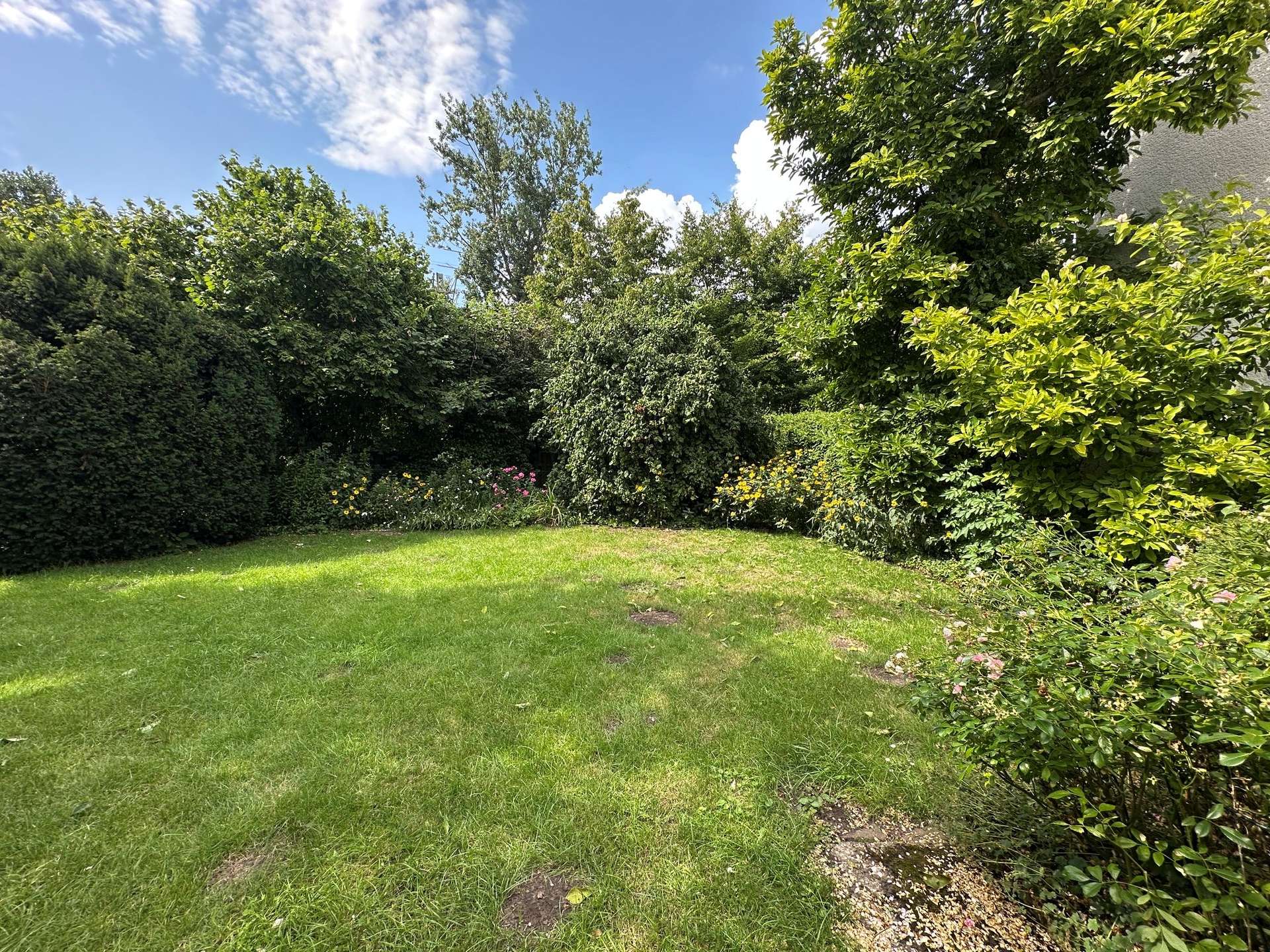 Waldheim: Wohnung über 2 Ebenen mit Garten und Garage - Kellerraum