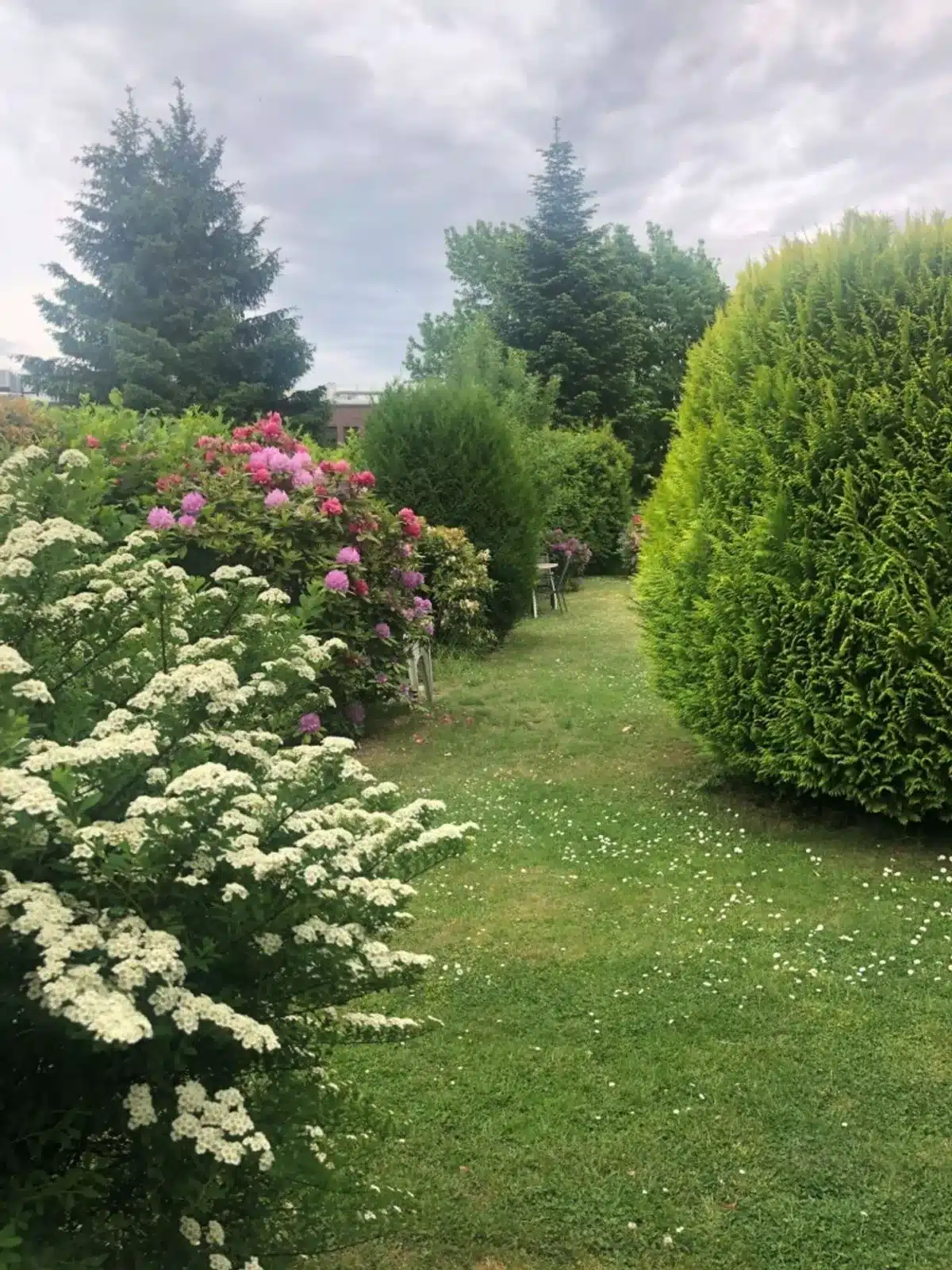 Garten mit Blüten