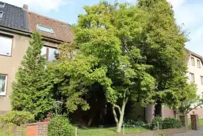 Hannover Vinnhorst: Sanierungsbedürftige DHH in ruhiger und grüner Lage, 30419 Hannover, Doppelhaushälfte